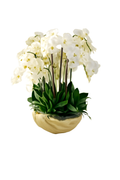 Orchidée artificielle Phalaenopsis blanche