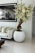 Cerisier en Fleurs Blanc Brillant