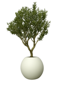 Olivier artificiel 76 cm beige