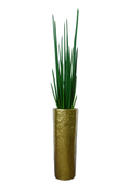 Sansevière 71 cm