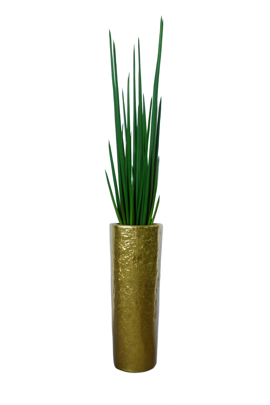 Sansevière 71 cm