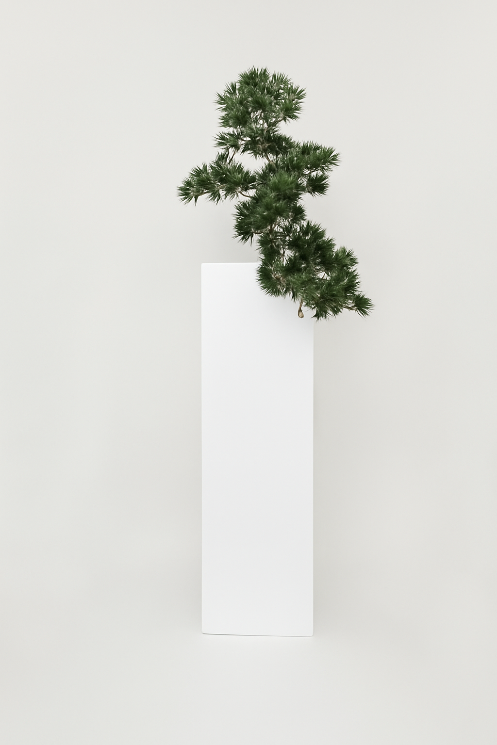 Plante d'intérieur