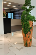 Plante d'intérieur grande en teck