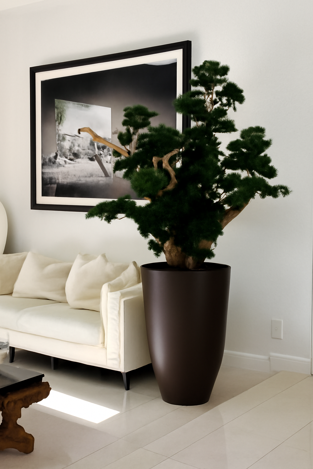 Plante d'intérieur XXL marron mat