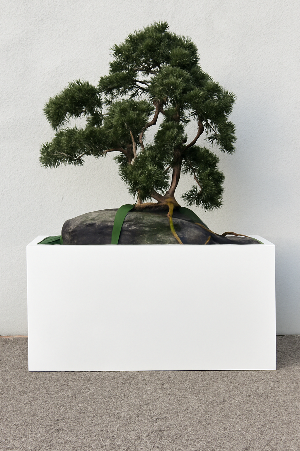 Plante d'intérieur