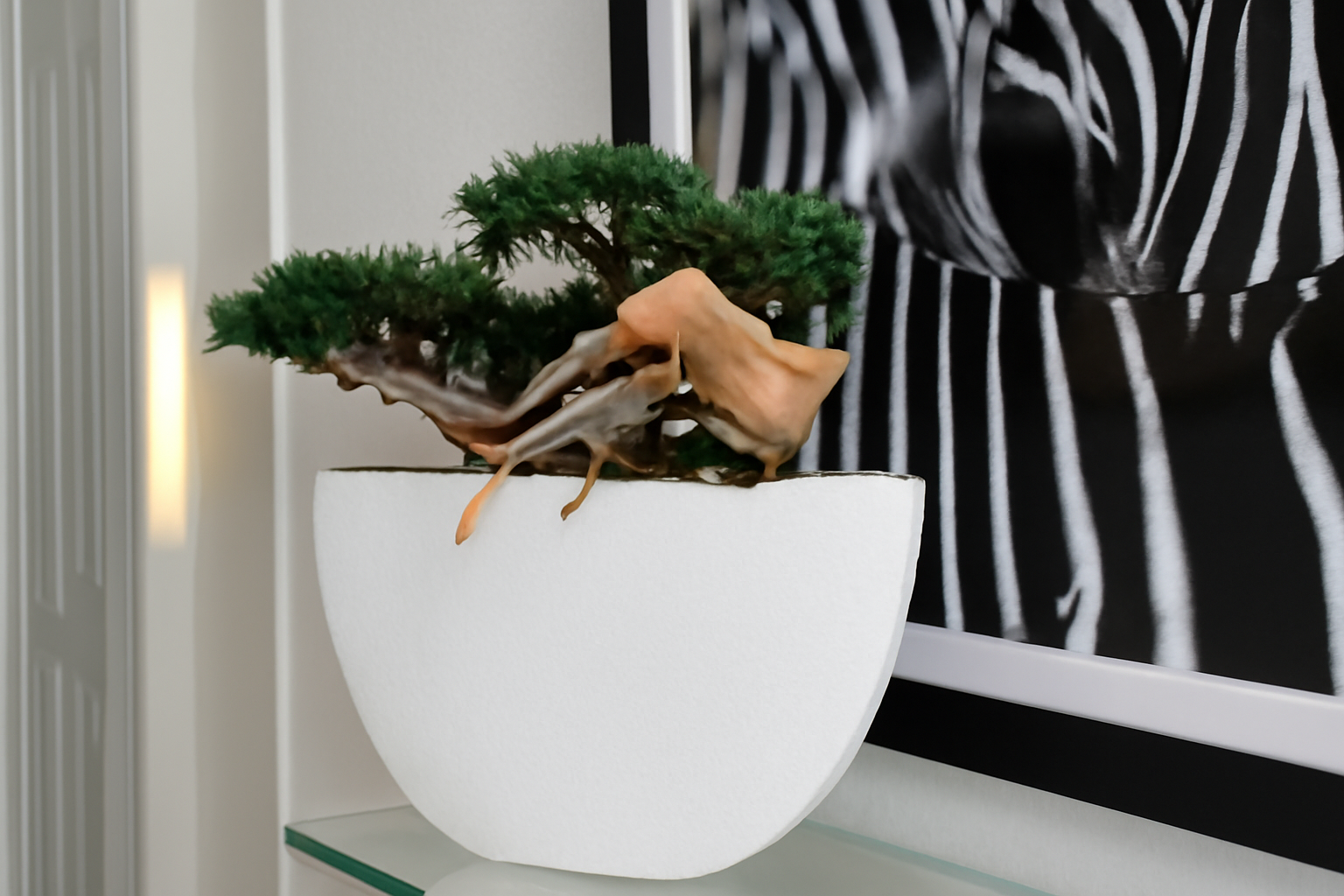 Plante d'intérieur