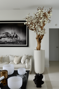 Composition Magnolia Blanc Brillant