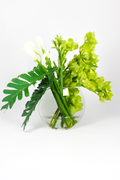 Plante Tropicale 91 cm verte