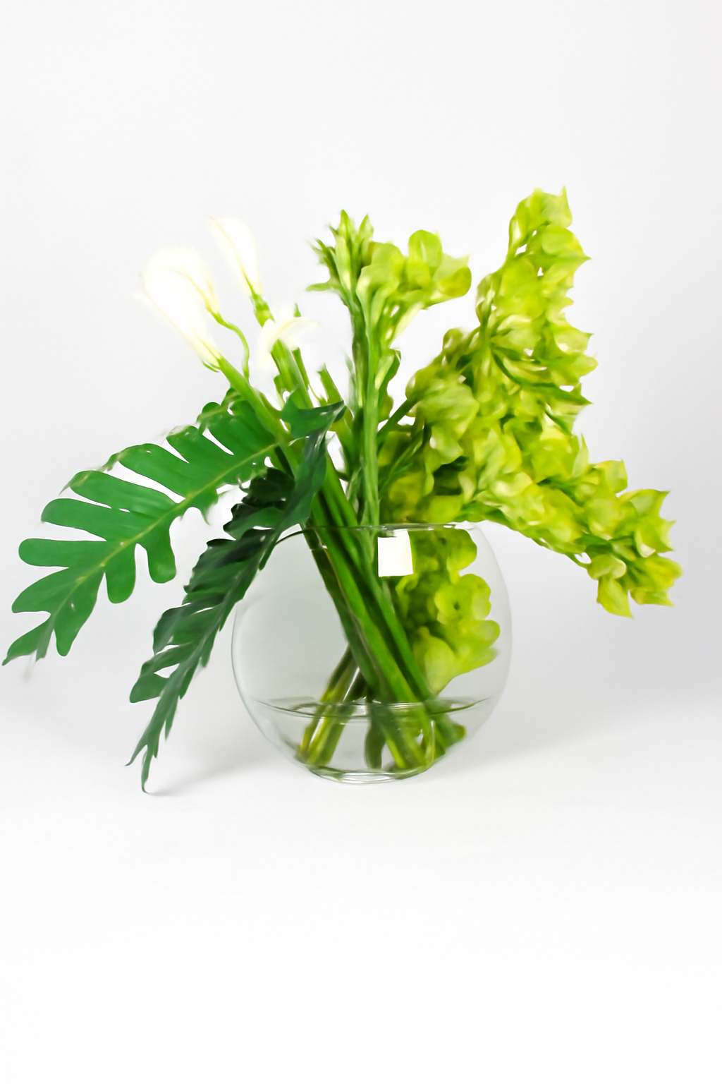 Plante Tropicale 91 cm verte