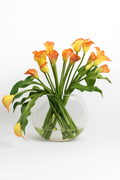 Fleur Arum blanche