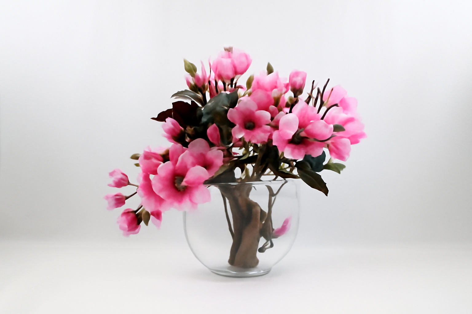 Composition Magnolia Rose