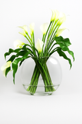 Fleur Arum blanche