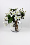 Composition Magnolia Blanc
