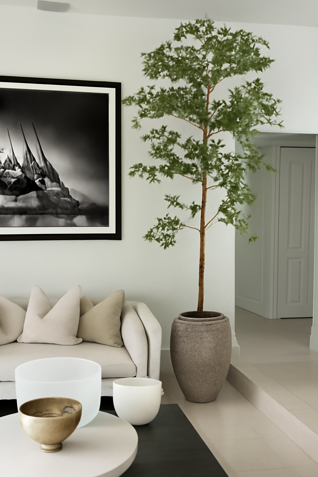 Ficus Loire