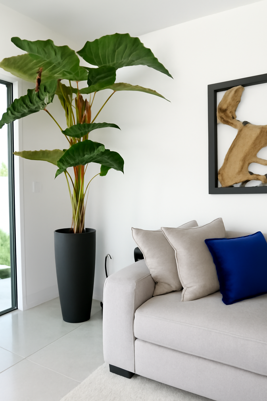 Plante d'intérieur rouge