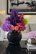 Orchidée Vanda noire