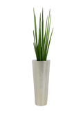 Sansevière 122 cm