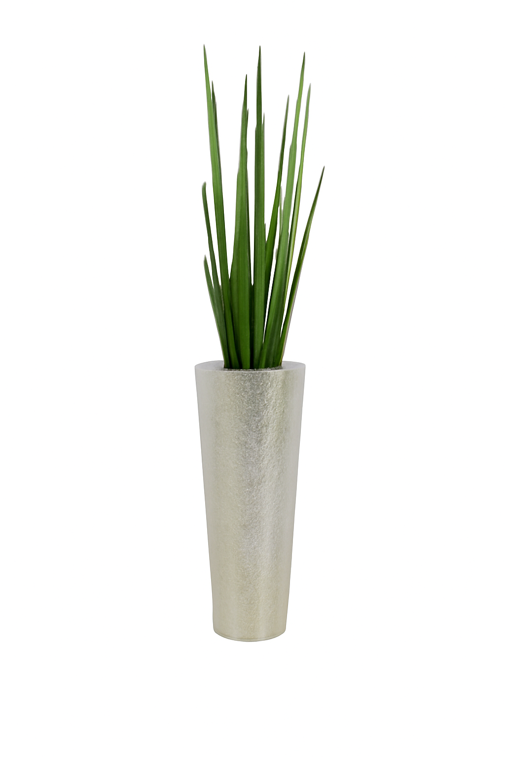 Sansevière 122 cm